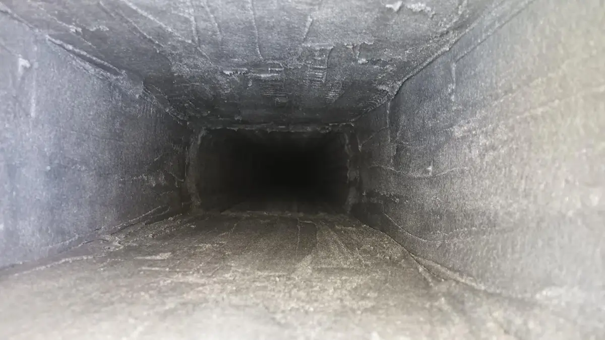 Camera view up a chimney flue during a Level 2 chimney inspection before a home purchase
