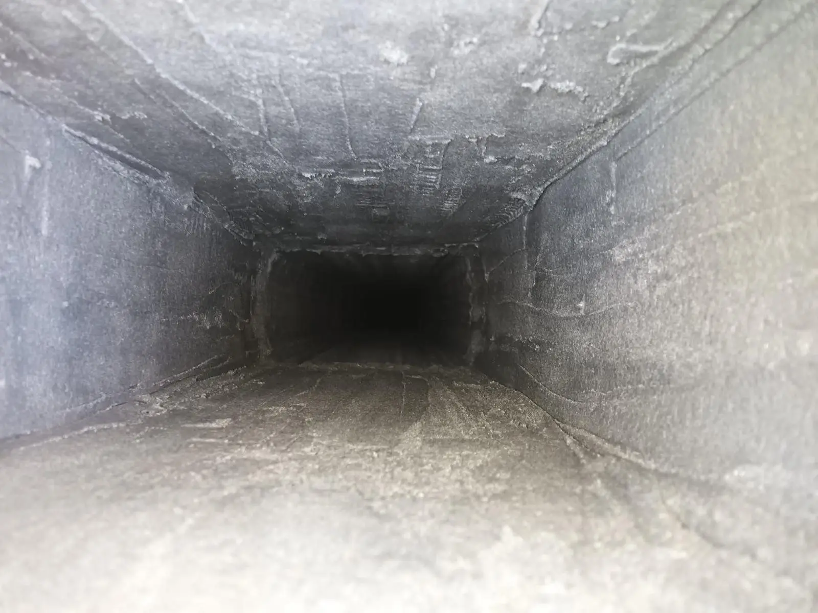 Camera view inside a chimney flue during a Level 2 inspection